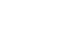Regency Automotive